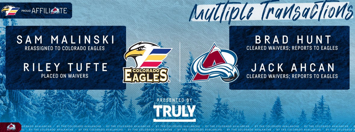 Meyers and Malinski reassigned by Avalanche, roster appears set